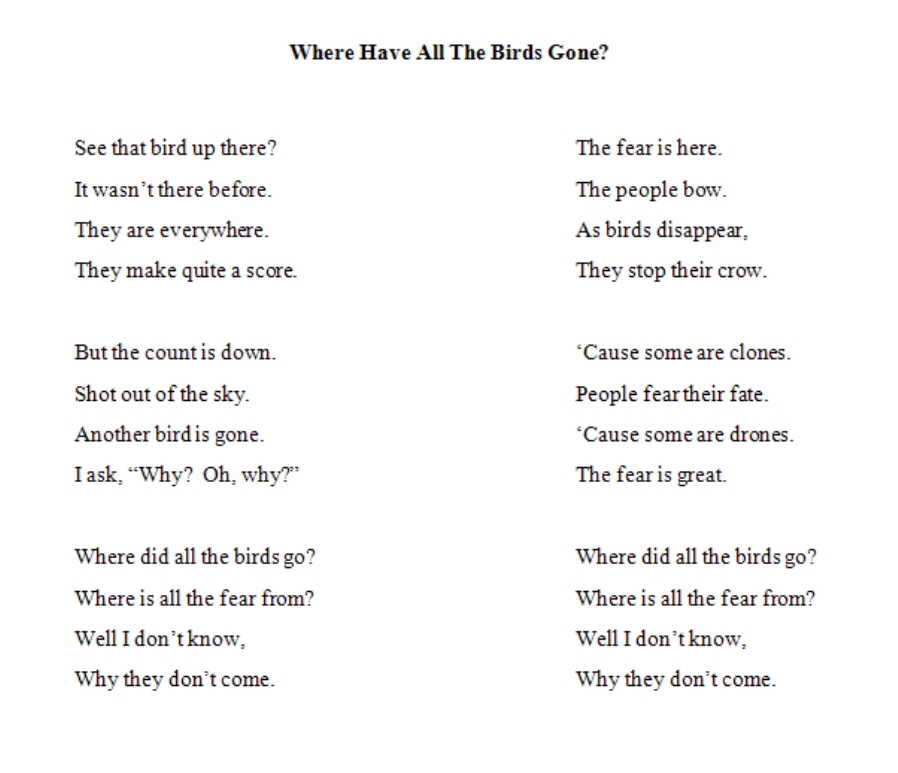 where have the birds gone