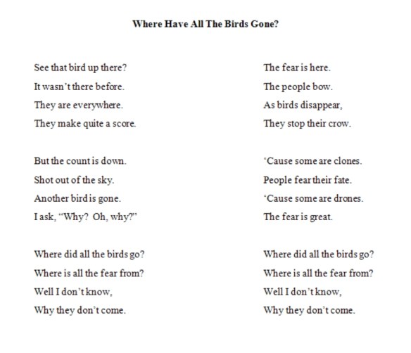 where have the birds gone