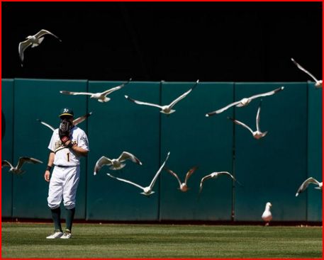 birds-eye-view-JasonOWatson-GettyImages